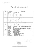 giao an 2 tuan 18-CKTKN