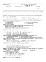 DE THI HKI. MON VAT LY 11CB