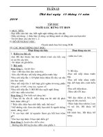 giao an t13 cuc chuan