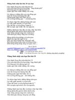 MUNG SN BAN LAN THU 35 (29/11/1976 - 29/11/2010)