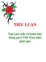 Tiểu luận 