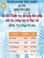 côn trùng ký sinh theo số lượng cá thể 