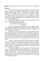 Bảo vệ rừng - bài văn hay