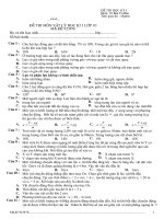 Thi HK I Lý_10 số 3