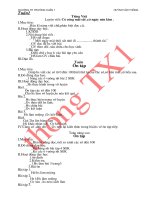 giao an chieu lop 2 (thong tx1)