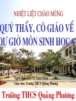 phat tan cua qua va hat