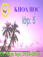 Phong tranh tai nan giao thong