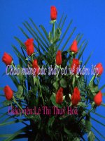 Dinh Bo Linh dep loan 12 su quan