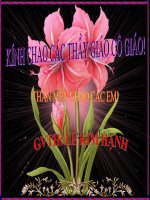 So sánh, dấu chấm