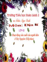 Hoạt động sản xuất của người Tây Nguyên