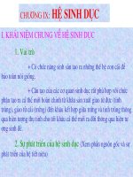 he sinh duc (hinh anh dep)