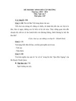 ĐỀ THI HS GIỎI MÔN NGỮ VĂN 7 NĂM HỌC 2010-2011