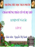 LTVC: MRVT: BẢO VỆ MÔI TRƯỜNG (TUẦN 13)