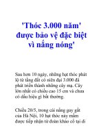 ''''Thóc 3.000 năm'''' được bảo vệ đặc biệt vì nắng nóng''''