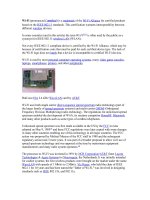 Phân biệt mạng trong Internet