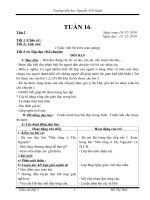 GA lớp 3- Tuần 16-CKT-KNS