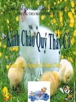 Hòa tặng cho Quí thầy cô nhân 20/11/2010