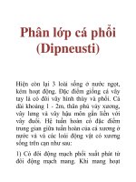 Phân lớp cá phổi (Dipneusti)