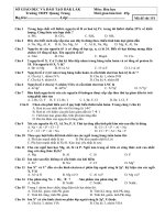 Kiểm tra 1 tiết lớp 10 cơ bản