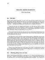 Phương trình Diophant