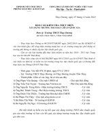 Báo cáo kiểm tra việc xây dựng các tiêu chuẩn trường THCS đạt chuẩn quốc gia năm 2010