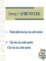 Chương 5: ACIDE NUCLEIC