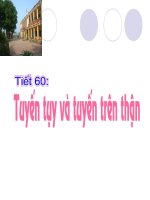 Tuyến tụy và tuyến trên thận