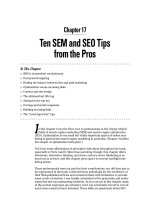 Ten SEM and SEO Tips from the Pros
