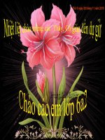BÀI GIẢNG THI GVDG CẤP TRƯỜNG