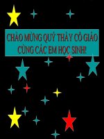 bài 11: KLR-TLR (tiết2)