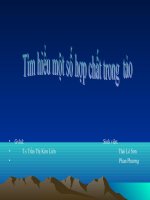 Hợp chất trong tảo