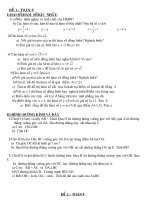 ĐỀ  ÔN TOÁN 9- N