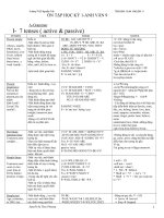 de cuong on tap HK1- lop9( 2010- 2011)