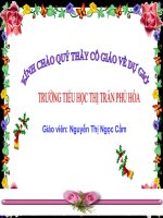 HOẠT ĐỘNG SẢN XUẤT CỦA NGƯỜI DÂN Ở ĐỒNG BẰNG BẮC BỘ