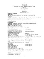 lớp 1 tuần 9 đến tuần 16