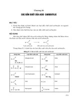 Các dẫn xuất của ACID CARBOXYLIC