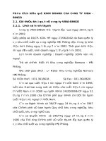 PHÂN TÍCH HIỆU QUẢ KINH DOANH CỦA CÔNG TY VINA - BINGO