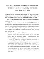 GIẢI PHÁP MỞ RỘNG TÍN DỤNG ĐỐI VỚI DOANH NGHIỆP NGOÀI QUỐC DOANH TẠI CHI NHÁNH NHNo và PTNT MỸ HÀO