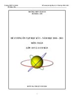 đê cưong ôn tập 10+11(lấy là ôn)