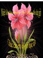 TIẾT 10 BÀI 9 LỰC ĐÀN HỒI