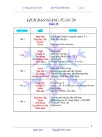 GIÁO ÁN LỚP 3 TUẦN 29