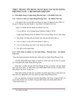 THỰC TRẠNG TÍN DỤNG NGẮN HẠN TẠI NGÂN HÀNG PHƯƠNG NAM