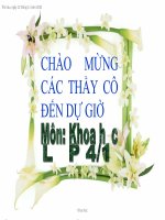 nuoc can cho su song