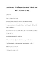 Gia hạn, sửa đổi, bổ sung giấy chứng nhận tổ chức huấn luyện bay (FTO)