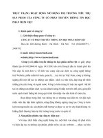THỰC TRẠNG HOẠT ĐỘNG MỞ RỘNG THỊ TRƯỜNG TIÊU THỤ SẢN PHẨM CỦA CÔNG TY CỔ PHẦN TRUYỀN THÔNG TIN HỌC PHẦN MỀM VIỆT