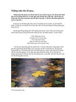 Những mùa thu đã đi qua