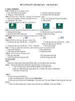 Đề cương ôn tập Tin 6 - HK 1_2010-2011