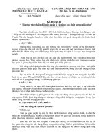 Kế hoạch thực hiện chủ đề năm học 2010-2011