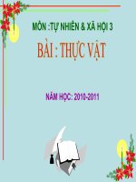 TNXH lớp 3- Thực Vật
