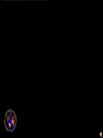 chuongV bài 12:nhung thanh tuu chu yeu va y nghia